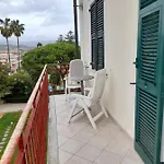 Palm 3*