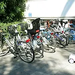 Aparthotel Palm 3*
