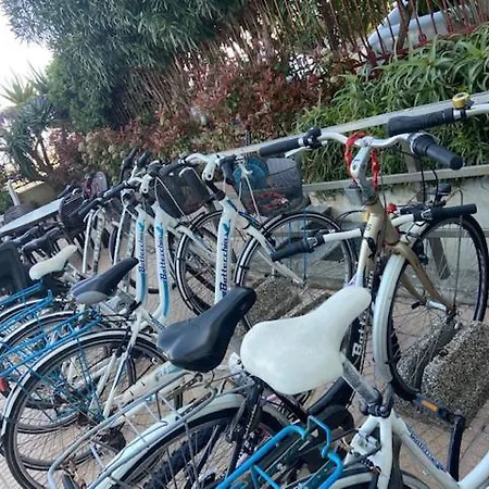 Palm Апарт-отель 3*