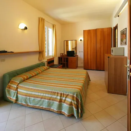 Palm 3*